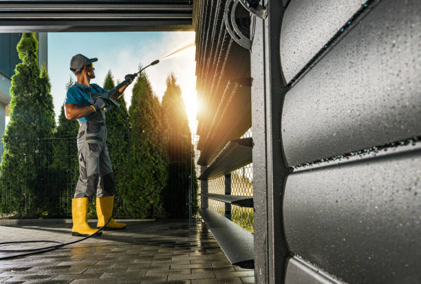 Best Soft Washing for Delicate Surfaces in Woodstock, IL