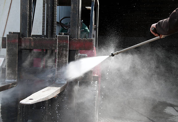 Best Roof Cleaning and Mildew Removal in Woodstock, IL